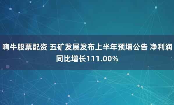 嗨牛股票配资 五矿发展发布上半年预增公告 净利润同比增长111.00%