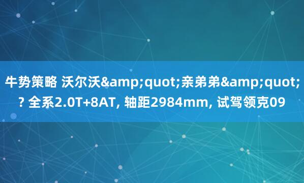 牛势策略 沃尔沃"亲弟弟"? 全系2.0T+8AT, 轴距2984mm, 试驾领克09