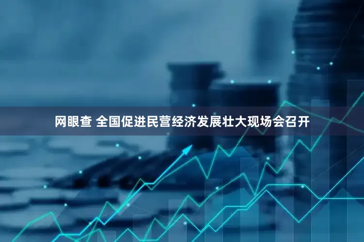网眼查 全国促进民营经济发展壮大现场会召开